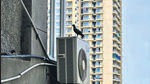 The sprawling suburbs are no desert, yet the pigeons prefer to stray towards the concrete. (HT Photo) The sprawling suburbs are no desert, yet the pigeons prefer to stray towards the concrete. (HT Photo)
