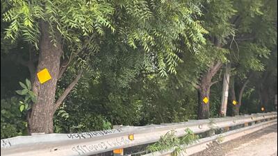 According to forest department officials, these reflectors were installed on trees stretching up to the Sector 148 metro station without proper authorisation. (HT Photo) According to forest department officials, these reflectors were installed on trees stretching up to the Sector 148 metro station without proper authorisation. (HT Photo)