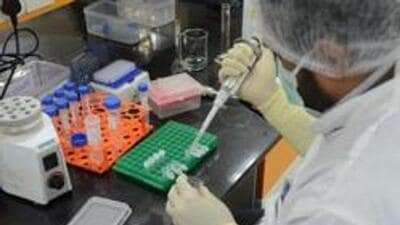 Serum Institute of India (SII) Pune on Tuesday said it is currently working to develop a vaccine for Mpox with positive outcomes expected in a year’s time. (REUTERS (PIC FOR REPRESENTATION)) Serum Institute of India (SII) Pune on Tuesday said it is currently working to develop a vaccine for Mpox with positive outcomes expected in a year’s time. (REUTERS (PIC FOR REPRESENTATION))