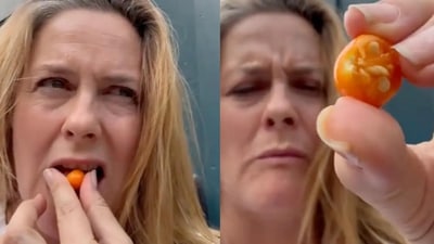 Alicia Silverstone leaves fans concerned after seemingly eating a poisonous fruit (TikTok) Alicia Silverstone leaves fans concerned after seemingly eating a poisonous fruit (TikTok)