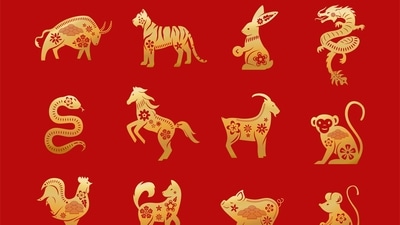 5 Chinese zodiac signs will likely receive luck in love this week from August 19-25, 2024. (Freepik)
