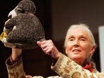 Dr Jane Goodhall with Mr H, which was a gift by Gary Haun, a blind former U.S. Marine (instagram) Dr Jane Goodhall with Mr H, which was a gift by Gary Haun, a blind former U.S. Marine (instagram)