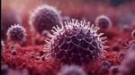 The Chandipura virus is mainly transmitted by vectors like mosquitoes and sandflies. (Representational image) The Chandipura virus is mainly transmitted by vectors like mosquitoes and sandflies. (Representational image)