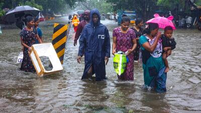 A report by the Punjab Agricultural University (PAU) here has revealed that erratic rainfall patterns in Punjab and Himachal Pradesh were behind the floods that ravaged the state in 2023. (HT File)