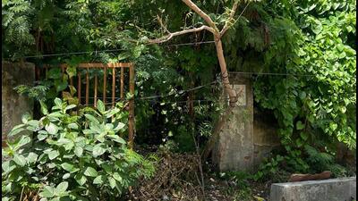 Residents demanded that action be taken against the owners for not maintaining empty plots, leaving them to be overgrown. (HT Photo) Residents demanded that action be taken against the owners for not maintaining empty plots, leaving them to be overgrown. (HT Photo)