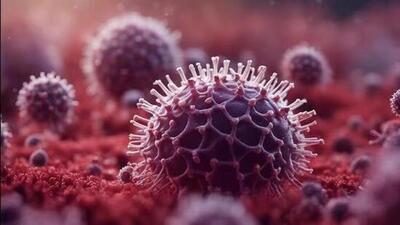 The Chandipura virus is mainly transmitted by vectors like mosquitoes and sandflies. (Representational image) The Chandipura virus is mainly transmitted by vectors like mosquitoes and sandflies. (Representational image)
