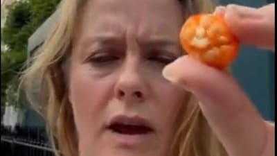 Alicia Silverstone shows the inside of the berry (TikTok/Alicia Silverstone)