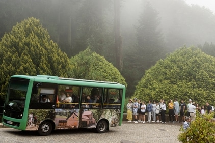 Tourists queue to catch a shuttle bus from the gate up to the the 19th century Pena Palace. (AP) Tourists queue to catch a shuttle bus from the gate up to the the 19th century Pena Palace. (AP)