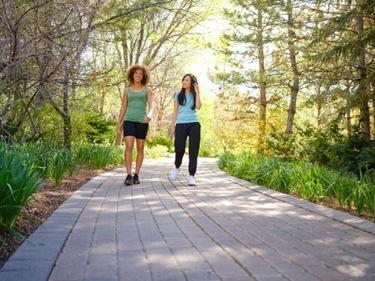 Morning walk. (Unsplash) Morning walk. (Unsplash)