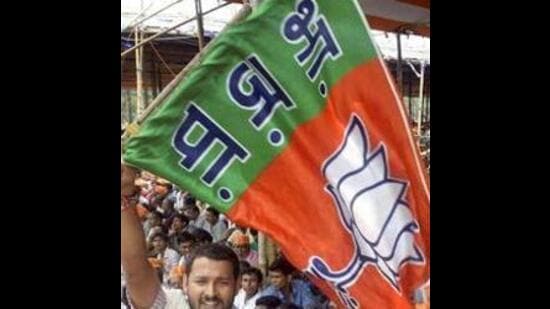 A BJP supporter waves a party flag (File)