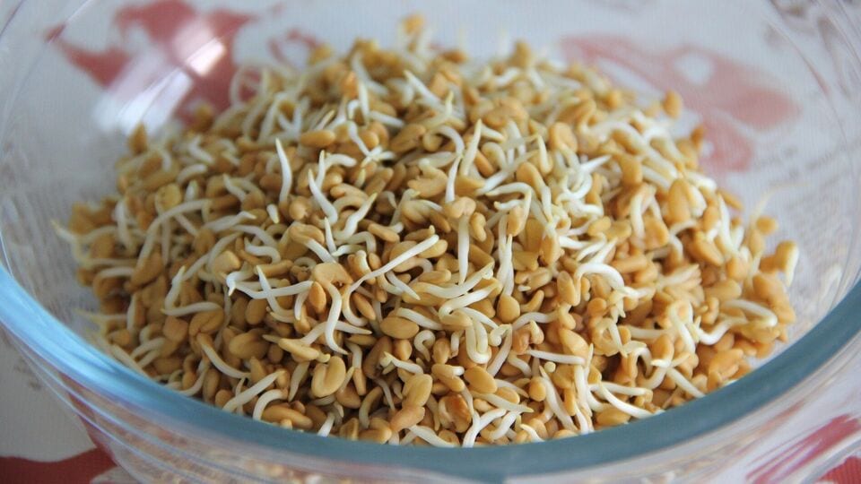 Side Effects of Fenugreek ಈ ಸಮಸ್ಯೆ ಇರುವವರು ಮೆಂತ್ಯ ಸೇವಿಸಬೇಡಿ...ಸಮಸ್ಯೆ