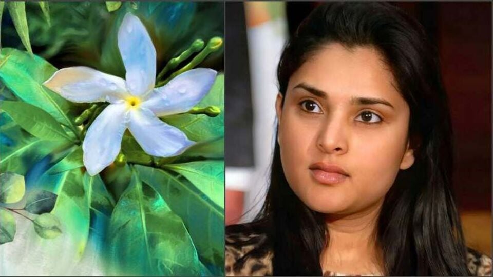 Ramya New movie Title ವಿಜಯದಶಮಿ ಶುಭ ದಿನದಂದು ತಾವು ನಿರ್ಮಿಸಿ ನಟಿಸುತ್ತಿರುವ