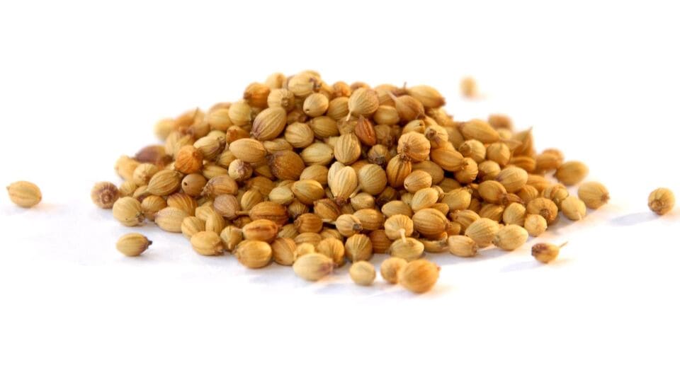 Coriander Seeds Health Benefits ನಿಮಗೆ ಕೊತ್ತಂಬರಿ ಬೀಜಗಳ ಆರೋಗ್ಯ