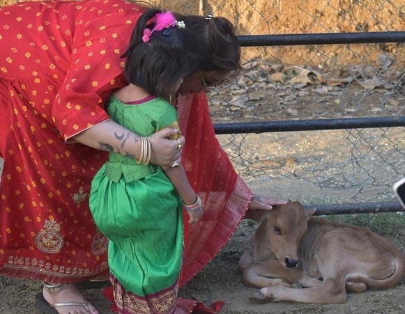 ಫೋಟೋಗಳನ್ನು ಹಂಚಿಕೊಂಡಿರುವ ರಕ್ಷಿತಾ, ನಾಡಿನ ಜನತೆಗೆ ಹಬ್ಬದ ಶುಭ ಕೋರಿದ್ದಾರೆ. &nbsp;ಈ ಪೋಸ್ಟ್‌ಗೆ ಸಂಗೀತ ನಿರ್ದೇಶಕ ಅರ್ಜುನ್‌ ಜನ್ಯಾ, ನಟಿ, ನಿರೂಪಕಿ ಶ್ವೇತಾ ಚಂಗಪ್ಪ ಹಾಗೂ ಇನ್ನಿತರರು ಮೆಚ್ಚುಗೆ ವ್ಯಕ್ತಪಡಿಸಿ ರಕ್ಷಿತಾಗೆ ಕೂಡಾ ಹಬ್ಬದ ಶುಭ ಹಾರೈಸಿದ್ದಾರೆ.&nbsp;