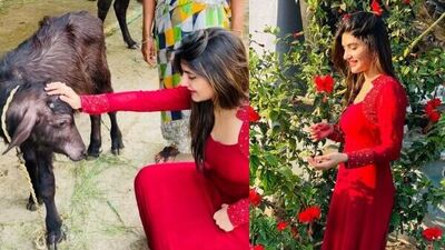 Sreeleela in Red Dress: బిజీ జీవితాన్ని కాసేపు పక్కన పెట్టి ఇలా చిన్న చిన్న విషయాలతో ఆనందం పొందడానికి ప్రయత్నించానని ఈ ఫొటోలను షేర్ చేస్తూ శ్రీలీల చెప్పింది.