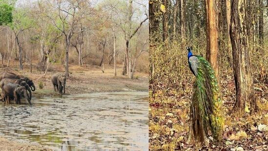 ಅರ್ಜುನ್‌ ಸರ್ಜಾ ಮಕ್ಕಳು ಕ್ಲಿಕ್ಕಿಸಿರುವ ಫೋಟೋಗಳು