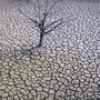 Climate Change: ಜಗತ್ತಿನ ಬಹುತೇಕ ಕಡೆಗಳಲ್ಲಿ ಕಾಣಿಸಿಕೊಳ್ಳುತ್ತಿದೆ ಹಠಾತ್‌ ಬರಗಾಲ