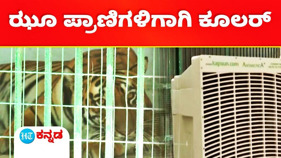 Cooler in Zoo ಏರುತ್ತಿರುವ ತಾಪಮಾನ, ಝೂನಲ್ಲಿ ಪ್ರಾಣಿಗಳ ರಕ್ಷಣೆಗೆ ಕೂಲರ್