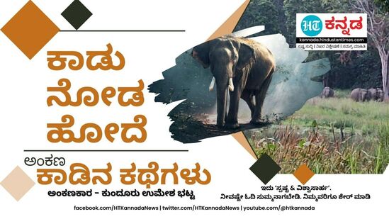 ಕಾಡಿನ ಕಥೆಗಳು... ಕಾಡಿನ ಕಥೆಗಳು...