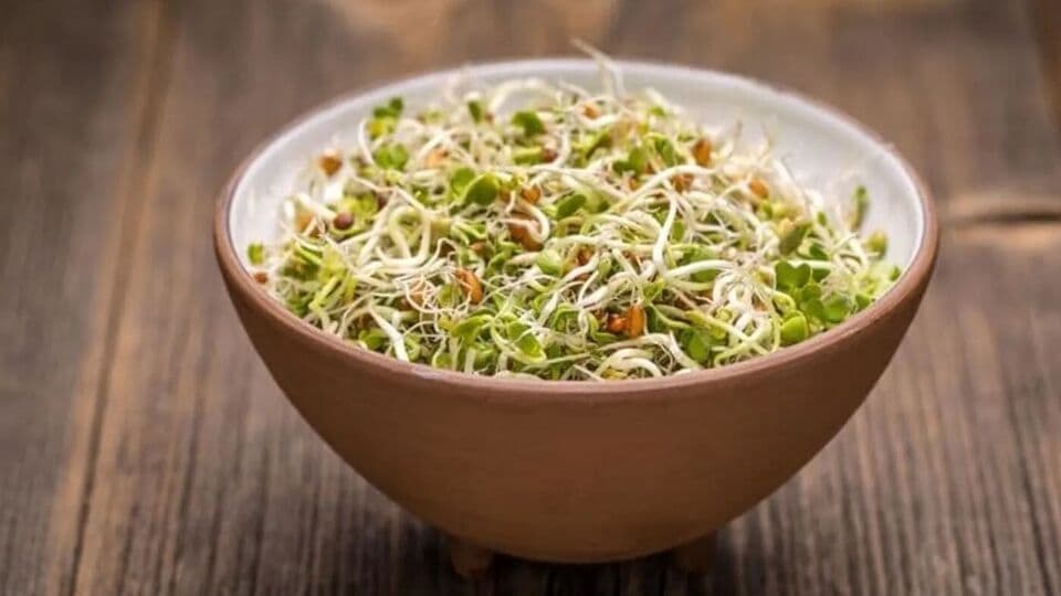 Raw vs Boiled Sprouts ಹಸಿಮೊಳಕೆ ಕಾಳು, ಬೇಯಿಸಿದ ಕಾಳು; ತೂಕ ಇಳಿಕೆ ಹಾಗೂ