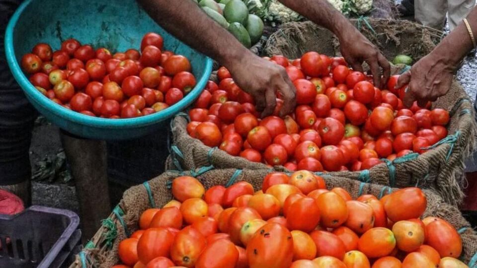 Tomato Price Hike ಟೊಮೆಟೊ ದರ ಏರಿಕೆಯ ನಾಗಾಲೋಟ; ಈ ರಾಜ್ಯದಲ್ಲಿ ಒಂದು ಕೆಜಿ