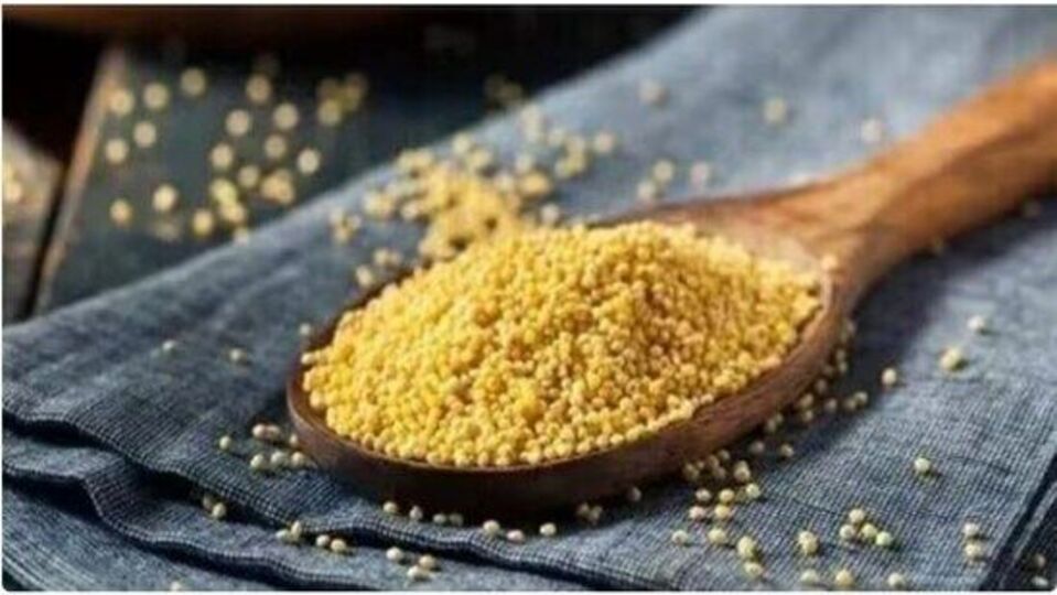 Millets for diabetes ಶುಗರ್ ಇರುವವರು ತಪ್ಪದೇ ತಿನ್ನಬೇಕಿರುವ 5 ಸಿರಿಧಾನ್ಯಗಳು