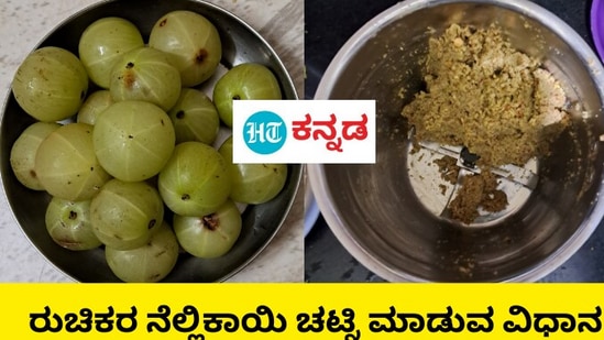 Nellikai Chutney: ನೆಲ್ಲಿಕಾಯಿಯ ಚಟ್ನಿ ಆರೋಗ್ಯಕ್ಕೆ ಒಳ್ಳೆಯದು, ನೆಲ್ಲಿಕಾಯಿ ಚಟ್ನಿ ಮಾಡುವ ವಿಧಾನ, ತರಿತರಿ ಇರುವಾಗ ಸವಿಯಿರಿ
