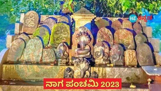 ನಾಗರ ಪಂಚಮಿ 2023 (ಸಾಂಕೇತಿಕ ಚಿತ್ರ)