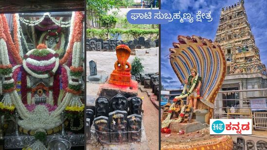 ಘಾಟಿ ಸುಬ್ರಹ್ಮಣ್ಯ ಕ್ಷೇತ್ರದ ಸುಬ್ರಹ್ಮಣ್ಯ ಹಾಗೂ ನರಸಿಂಹ ದೇವರು (ಎಡಚಿತ್ರ)