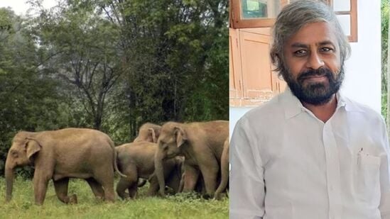 ಆನೆ ಕಾರ್ಯಪಡೆ ಗುಂಪು ಹೆಚ್ಚಳ; ರೇಡಿಯೋ ಕಾಲರ್ ಅಳವಡಿಕೆಗೆ ಆದೇಶ ಆನೆ ಕಾರ್ಯಪಡೆ ಗುಂಪು ಹೆಚ್ಚಳ; ರೇಡಿಯೋ ಕಾಲರ್ ಅಳವಡಿಕೆಗೆ ಆದೇಶ