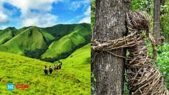 ಹೊಸ ಚಾರಣ ಪಥ ಸೃಷ್ಟಿಯಿಂದ ಪಶ್ಚಿಮ ಘಟ್ಟಕ್ಕೇ ಅಪಾಯ; ಪರಿಸರವಾದಿಗಳ ಆತಂಕ