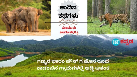 ಅರಣ್ಯದಂಚಿನಲ್ಲಿ ಫಾರಂ ಹೌಸ್‌ಗಳ ರೂಪದಲ್ಲಿ ಕಟ್ಟಡ ನಿರ್ಮಾಣ, ಬೇಲಿ ಅಳವಡಿಕೆ ಪ್ರಾಣಿಗಳ ಸಹಜ ಸಂಚಾರಕ್ಕೆ ಅಡ್ಡಿಪಡಿಸುತ್ತಿದೆ. ಬಂಡೀಪುರ ಸುತ್ತ ಇಂತಹ ಪ್ರಕರಣಗಳು ಅಧಿಕವಾಗಿವೆ.