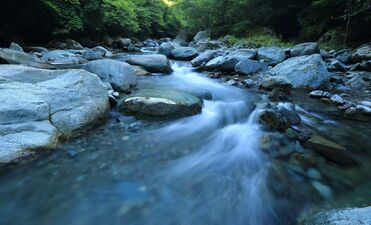 Stream Meaning In Kannada - ಕನ್ನಡ ಅರ್ಥ