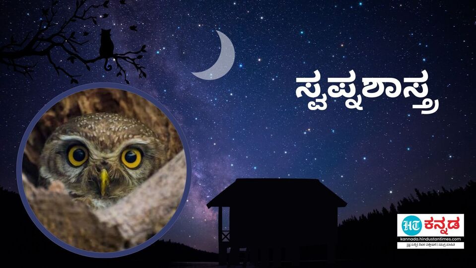 Swapna Shastra ಕನಸಿನಲ್ಲಿ ಗೂಬೆಯನ್ನು ನೋಡುವುದು ಶುಭವೋ ಅಶುಭವೋ? ಸ್ವಪ್ನಶಾಸ್ತ್ರದ ವಿವರswapna shastra
