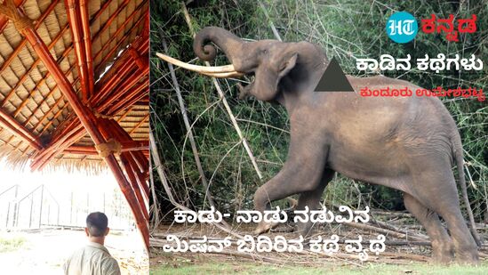 ಬಿದಿರು ಮಿಷನ್‌ ಹಾಗೂ ಕಾಡಾನೆ ಆಹಾರ.. ಬಿದಿರು ವಲಯದ ಬೆಳವಣಿಗೆ ನಿರೀಕ್ಷಿತ ಮಟ್ಟದಲ್ಲಿ ಆಗಿಲ್ಲ ಎನ್ನುವ ಬೇಸರ ಹಲವರದ್ದು.