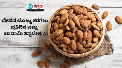 Types/ Varieties of Mamra Badam