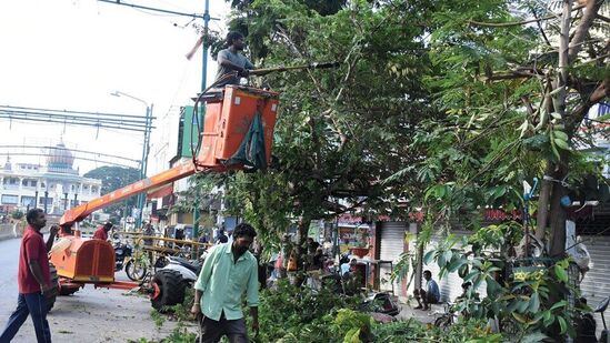 ಮೈಸೂರು ದಸರಾದ ಮುಖ್ಯ ಆಕರ್ಷಣೆ ಜಂಬೂ ಸವಾರಿ. ಸುಮಾರು ನಾಲ್ಕೂವರೆ ಕಿ.ಮಿ ಸಂಚರಿಸುವ ಜಂಬೂ ಸವಾರಿ ಮಾರ್ಗದುದ್ದಕ್ಕೂ ಬೆಳೇದಿರುವ ಮರದ ಕೊಂಬೆ ತೆಗೆಯುವ ಚಟುವಟಿಕೆಯನ್ನೂ ಕೈಗೊಳ್ಳಲಾಗಿದೆ.&nbsp;