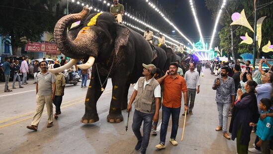 ಮೈಸೂರು ದಸರಾದ ಆಕರ್ಷಣೆಯಾದ ಜಂಬೂ ಸವಾರಿ ಪಡೆ. ಬೆಳಕಿನ ಚಪ್ಪರದ ಕೆಳಗೆ ನಿತ್ಯದ ತಾಲೀಮೀಗೆ ಹೊರಟಾಗ ಕಂಡ ವಿಶೇಷ ಕ್ಷಣ.