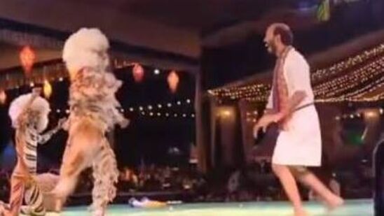 ರಾಜ್ ಬಿ ಶೆಟ್ಟಿ ಅವರು ಇತ್ತೀಚೆಗೆ ಕನ್ನಡ ಸಿನಿಮಾ ಟೋಬಿಯಲ್ಲಿ ಕಾಣಿಸಿಕೊಂಡಿದ್ದರು. ಈ ಸಿನಿಮಾಕ್ಕೆ ಪ್ರೇಕ್ಷಕರಿಂದ ಸಾಧಾರಣ ಪ್ರತಿಕ್ರಿಯೆ ವ್ಯಕ್ತವಾಗಿತ್ತು. ಈ ಚಿತ್ರದಲ್ಲಿ ರಾಜ್ ಬಿ ಶೆಟ್ಟಿ ಮೂಕ ಪಾತ್ರ ಮಾಡಿದ್ದರು. ರಾಜ್ ಬಿ ಶೆಟ್ಟಿ ಅವರು ಇತ್ತೀಚೆಗೆ ಕನ್ನಡ ಸಿನಿಮಾ ಟೋಬಿಯಲ್ಲಿ ಕಾಣಿಸಿಕೊಂಡಿದ್ದರು. ಈ ಸಿನಿಮಾಕ್ಕೆ ಪ್ರೇಕ್ಷಕರಿಂದ ಸಾಧಾರಣ ಪ್ರತಿಕ್ರಿಯೆ ವ್ಯಕ್ತವಾಗಿತ್ತು. ಈ ಚಿತ್ರದಲ್ಲಿ ರಾಜ್ ಬಿ ಶೆಟ್ಟಿ ಮೂಕ ಪಾತ್ರ ಮಾಡಿದ್ದರು. 