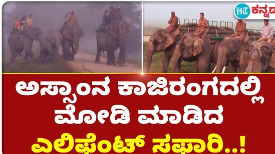 ಅಸ್ಸಾಂನ ಕಾಜಿರಂಗದಲ್ಲಿ ಮೋಡಿ ಮಾಡಿದ ಎಲಿಫೆಂಟ್ ಸಫಾರಿ..! ಅಸ್ಸಾಂನ ಕಾಜಿರಂಗದಲ್ಲಿ ಮೋಡಿ ಮಾಡಿದ ಎಲಿಫೆಂಟ್ ಸಫಾರಿ..!