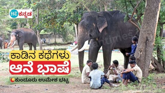 ಕರ್ನಾಟಕದ ಅರಣ್ಯ ಇಲಾಖೆ ಶಿಬಿರಗಳಲ್ಲಿರುವ ಆನೆಗಳ ಭಾಷೆಯ ಹಿನ್ನೆಲೆಯೂ ಆಸಕ್ತಿದಾಯಕವೇ ಆಗಿದೆ.