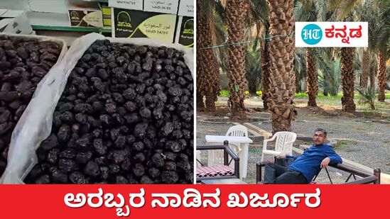 ಅರೇಬಿಯನ್ ಖರ್ಜೂರದ ಕಿರುಪರಿಚಯ ನೀಡಿದ ಹಿರಿಯ ಪತ್ರಕರ್ತ ಬಿಎಂ ಹನೀಫ್‌