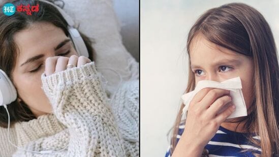 Nasal Congestion: ಚಳಿಗಾಲ ಆರಂಭವಾಗಿದೆ, ಪದೇ ಪದೇ ಮೂಗು ಕಟ್ಟುವ ಸಮಸ್ಯೆ ಕಾಡ್ತಾ ಇದ್ರೆ, ಈ ಸಿಂಪಲ್‌ ಆಯುರ್ವೇದ ಪರಿಹಾರ ಪಾಲಿಸಿ