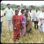 ತುಮಕೂರಿನಲ್ಲಿ ಬರ ಅಧ್ಯಯನ