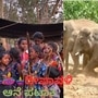 ದೀಪಾವಳಿ ಎಂದರೆ ಜೇನು ಕುರುಬರ ಹಾಡಿಯ ಸಂತಸದ ಹಬ್ಬ ಹಾಗೂ ಆನೆ ಪಟಾಕಿ ಸಿಡಿಸುವ ಅರಣ್ಯ ಸಿಬ್ಬಂದಿ ನಿತ್ಯ ದೀಪಾವಳಿ. ದೀಪಾವಳಿ ಎಂದರೆ ಜೇನು ಕುರುಬರ ಹಾಡಿಯ ಸಂತಸದ ಹಬ್ಬ ಹಾಗೂ ಆನೆ ಪಟಾಕಿ ಸಿಡಿಸುವ ಅರಣ್ಯ ಸಿಬ್ಬಂದಿ ನಿತ್ಯ ದೀಪಾವಳಿ.
