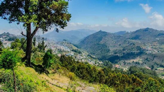 ಕೋಕರ್ಸ್‌ ವಾಕ್‌: ಲೆಫ್ಟಿನಂಟ್‌ ಕೋಕರ್‌ ಎನ್ನುವವರು 1872ರಲ್ಲಿ ಪರ್ವತದ ಇಳಿಜಾರಿನಲ್ಲಿ ದಾರಿಯನ್ನು ನಿರ್ಮಿಸಿದ್ದರು. ಕಣಿವೆಯ ವಿಹಂಗಮ ನೋಟದೊಂದಿಗೆ ಈ ಜಾಗದಲ್ಲಿ ನಡೆಯುತ್ತಿದ್ದರೆ ಸ್ವರ್ಗದಲ್ಲೇ ಇದ್ದಂತೆ ಭಾಸವಾಗುವುದರಲ್ಲಿ ಅನುಮಾನವಿಲ್ಲ. ಈ ಹಾದಿಯು ಕಾಡಿನ ಮೂಲಕ ಆರಂಭವಾಗುತ್ತದೆ. ಕೊಡೈಕೆನಾಲ್‌ ಹೋದ್ರೆ ಈ ಜಾಗ ಖಂಡಿತ ಮಿಸ್‌ ಮಾಡ್ಬೇಡಿ