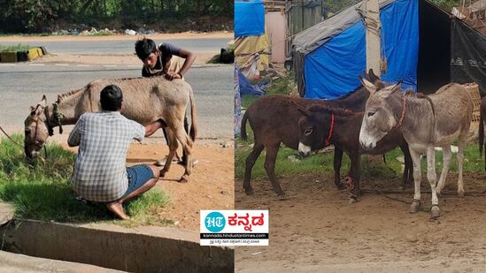 ಸಾಂದರ್ಭಿಕ ಚಿತ್ರ 