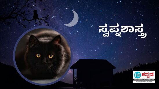 ಕನಸಿನಲ್ಲಿ ಕಪ್ಪು ಬೆಕ್ಕು ಕಂಡರೆ ಏನರ್ಥ, ಇಲ್ಲಿದೆ ವಿವರ ಕನಸಿನಲ್ಲಿ ಕಪ್ಪು ಬೆಕ್ಕು ಕಂಡರೆ ಏನರ್ಥ, ಇಲ್ಲಿದೆ ವಿವರ