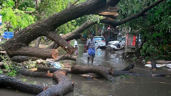 ತಮಿಳುನಾಡು ರಾಜಧಾನಿ ಚೆನ್ನೈನಲ್ಲಿ ಬಿರುಗಾಳಿ ಸಹಿತ ಮಳೆಗೆ ಬೃಹತ್ ಧರೆಗುರುಳಿದ್ದು, ಮರಗಳ ತೆರವು ಕಾರ್ಯಾಚರಣೆ ಮುಂದುವರಿಸಿದೆ.