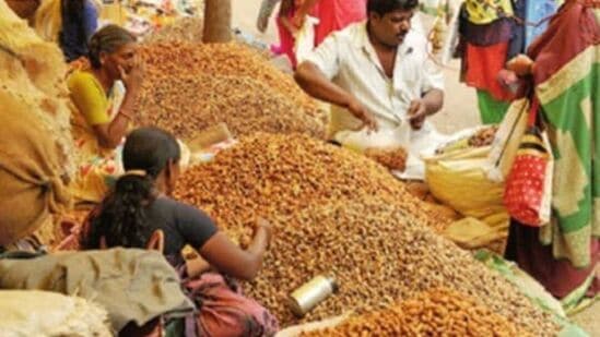 ಬೆಂಗಳೂರಿನ ಬಸವಗುಡಿಯಲ್ಲಿ ನಡೆಯುತ್ತಿರುವ ಐತಿಹಾಸಿಕ ಕಡ್ಲೆಕಾಯಿ ಪರಿಷೆಯಲ್ಲಿ ಭರ್ಜರಿ ವ್ಯಾಪಾರ ನಡೆಯುತ್ತಿವೆ. ಕಡ್ಲೆಕಾಯಿ ಅಷ್ಟೇ ಅಲ್ಲದೆ, ಕಡ್ಲೆಪುರಿ, ಇತರೆ ತಿಂಡಿ ತನಿಸುಗಳನ್ನೂ ಖರೀದಿಸಬಹುದು.